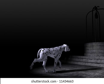 A Dalmatian Dog Walk In The Night