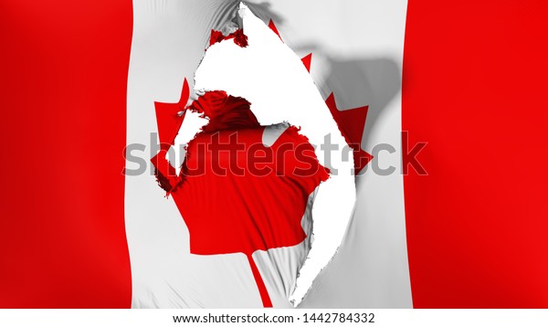 Damaged\
Canada flag, white background, 3d\
rendering