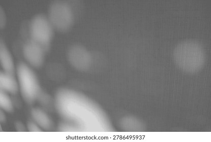  The Dance Shadows