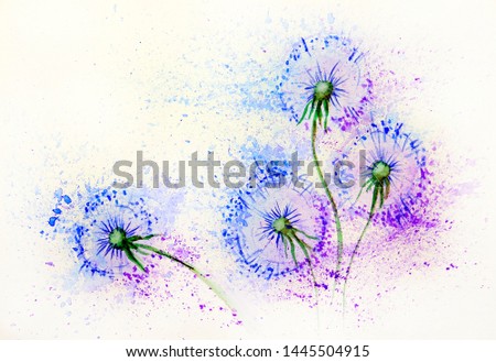 Dandelion flowers in the wind. Watercolor painting illustration