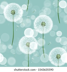 Dandelion On Blue. Delicate Seamless Floral Pattern