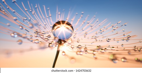 Dandelion seed with dew drops in the sun - 3D illustration
