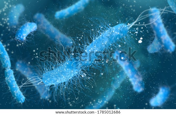 Dangerous Pathogenic Bacteria Escherichia Coli Colibacillus Stock ...