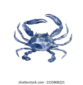 Dark Blue Crab. Watercolor Illustration.