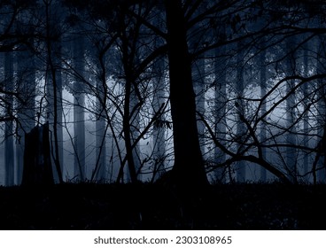 in the dark blue forest
