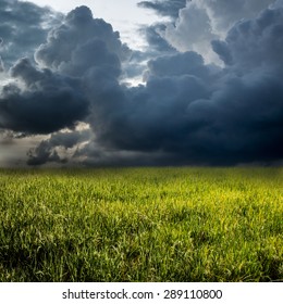 DARK FILTER CLOUD AND GREEN GRASS