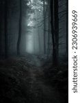 Dark forest, with a path in the middle, horror ambient, trees on the side