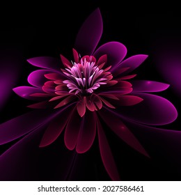 Dark Fractal Flower, Digital Artwork For Creative Graphic Design.
Fractal Pattern In The Shape Of Flowers On A Black Background.Abstract Fractal Background 