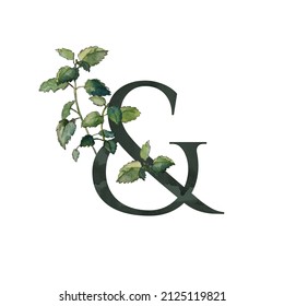 Dark green decorative floral alphabet — ampersand sign with melissa twigs arrangement. Watercolor collection for anniversaries, weddings and other celebratory events; for invitations and cards.