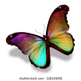 Dark Green Gold Violet Butterfly Morpho, Isolated On White