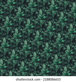 Dark Green Leafy Abstract Pattern Design 