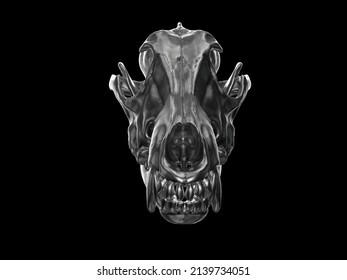 Dark metal wolf skull - front view - 3D Illustration