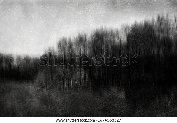 Dark Mysterious Forest Wallpaper Grunge Gloomy Stock Illustration