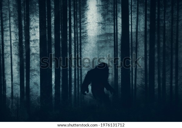 A dark scary concept. Of a mysterious
bigfoot figure, walking through a forest. Silhouetted against trees
in a forest. With a grunge, textured edit.
