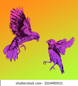 Darwin Finches Flying Fighting Colourful Neon Illustration