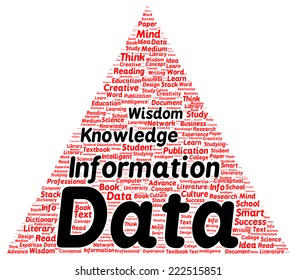 Data Information Knowledge Wisdom Word Cloud Shape Concept