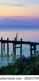 Dawn, Chesapeake Bay And Pier, Illustration 