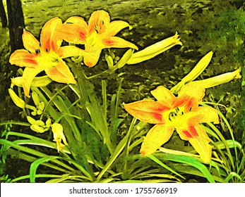 Daylily Flower (Hemerocállis) In A The Garden In The Style Of Oil Painting Fauvism