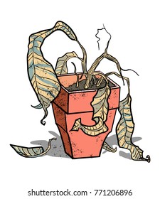Dead House Plant Cartoon Hand Drawn Image. Original Colorful Artwork, Comic Childish Style Drawing.