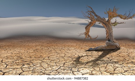 Dead Tree in Desert