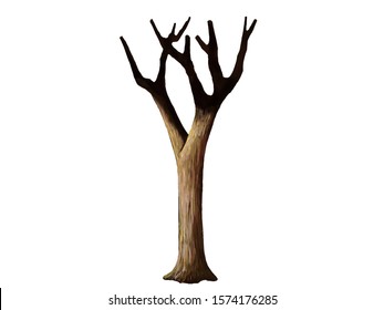 Dead tree: When you want to show a dead tree in your work, let use this pict. 
