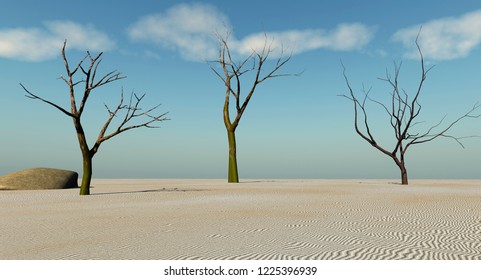 Dead trees in desert  - 3D rendering