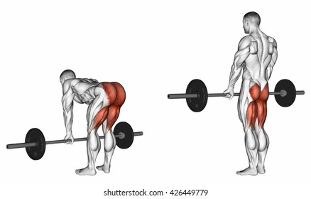 Deadlifts with a barbell, legs straight. 3D illustration
