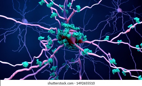 Death Of Neurons In The Aging Brain Or Proteins In Neurons 3d Illustration