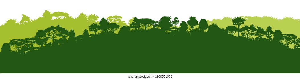 Deciduous forest. Silhouette. Mature, spreading trees. Thick thickets. Hills overgrown with plants. Isolated on a white background.
