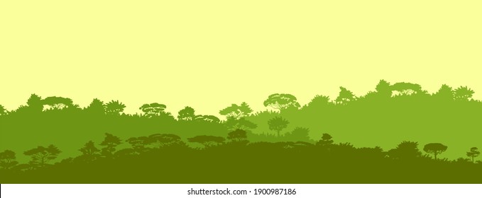Deciduous forest. Silhouette. Mature, spreading trees. Thick thickets. Hills overgrown with plants. Sky.