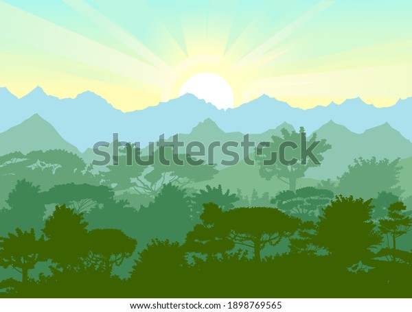 Deciduous forest. Silhouette. Mature, spreading trees. Thick thickets. Hills overgrown with plants. On the horizon there are mountains and ebo with the sunrise. Morning.