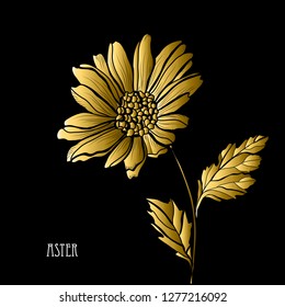 Decorative aster  flower, design element. Can be used for cards, invitations, banners, posters, print design. Golden flowers