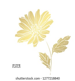 Decorative aster  flower, design element. Can be used for cards, invitations, banners, posters, print design. Golden flowers