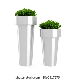 Decorative Boxwood Tree Planted Grey Metal Pot Isolated On White Background. 3D Rendering, Illustration.