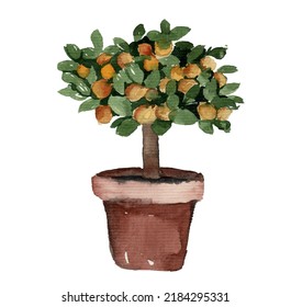 Decorative Citrus Tree Watercolor Illustration