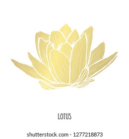 Decorative lotus flower, design element. Can be used for cards, invitations, banners, posters, print design. Golden flowers