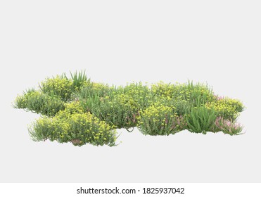Decorative park and garden plants isolated on grey background. 3d rendering - illustration