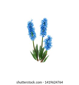 1,064 Pickerelweed Images, Stock Photos, 3D objects, & Vectors ...