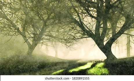 Decorative watercolor landscape dark mystical forest and sun rays shining through creepy dead tree silhouettes at foggy dusk night  Decorative digital art painting from my 3D rendering file 