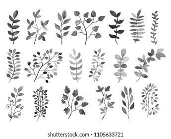 Decorative watercolor leaves clipart, design elements. Can be used for wedding, baby shower, mothers day, valentines day cards, invitations. Painted floral branches