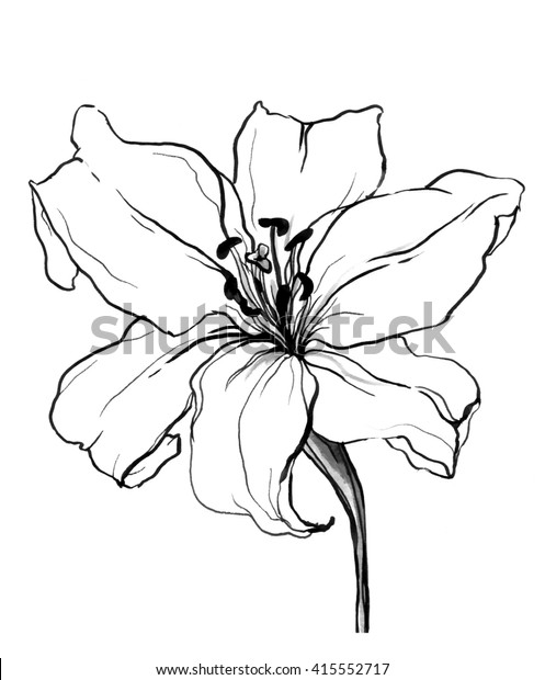 花柄の白い背景に装飾的な白いリリーの花 結婚式用の印刷製品 カード 招待状日本式の手描きの水彩植物性白黒イラスト のイラスト素材