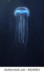 Deep Sea Jellyfish