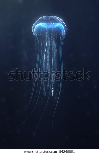 deep ocean jellyfish