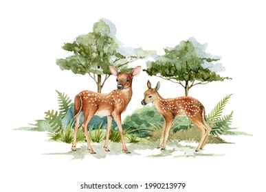 Deer animal in forest landscape. Watercolor illustration. Deer couple standing in forest scene. Rustic print image. Bambi in wild forest herbs, bushes, green trees. Side view two forest animal