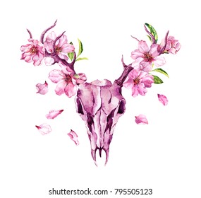 Deer animal skull and cherry flowers  spring blossom sakura  apple petals  Watercolor