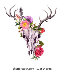 Deer animal skull and flowers   feathers  Watercolor