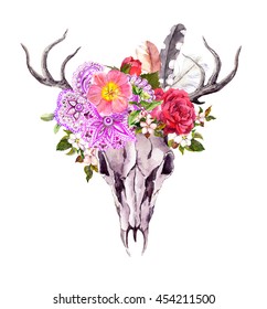 Deer animal skull and flowers  ornate ethnic design   feathers  Watercolor in vintage style