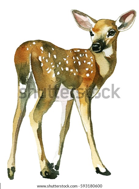 白い背景に鹿の赤ちゃんの子鹿の水色 のイラスト素材