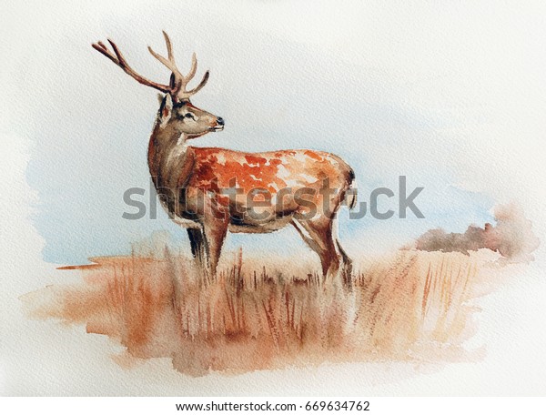 deer in the field - watercolor wildlife painting with detailed paper texture.