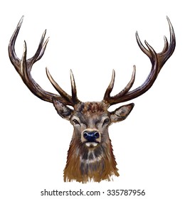 deer head digital painting\ deer head in front